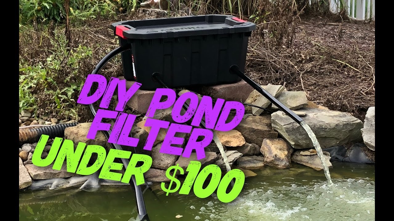 HOW TO: DIY Pond Filter Under $100