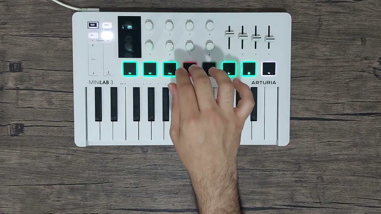 Haddaway - What Is Love Cover / Arturia Minilab 3