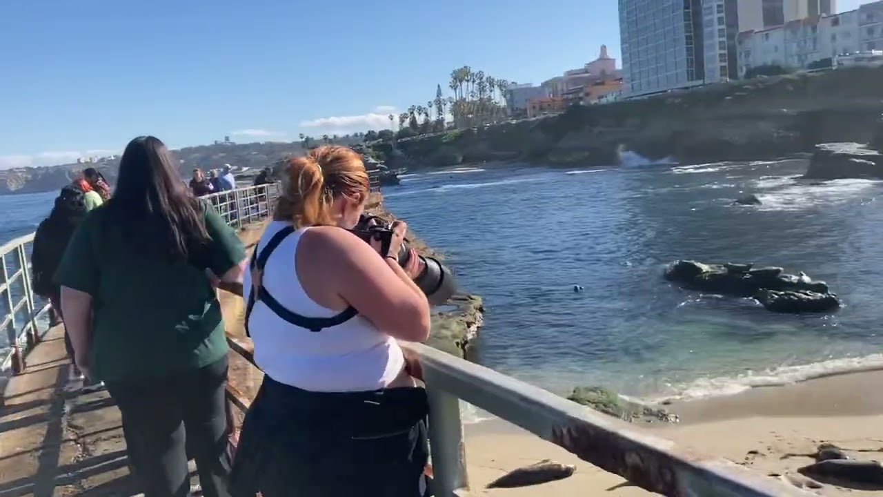 Amazing La Jolla ca. Beaches 🏖️ 