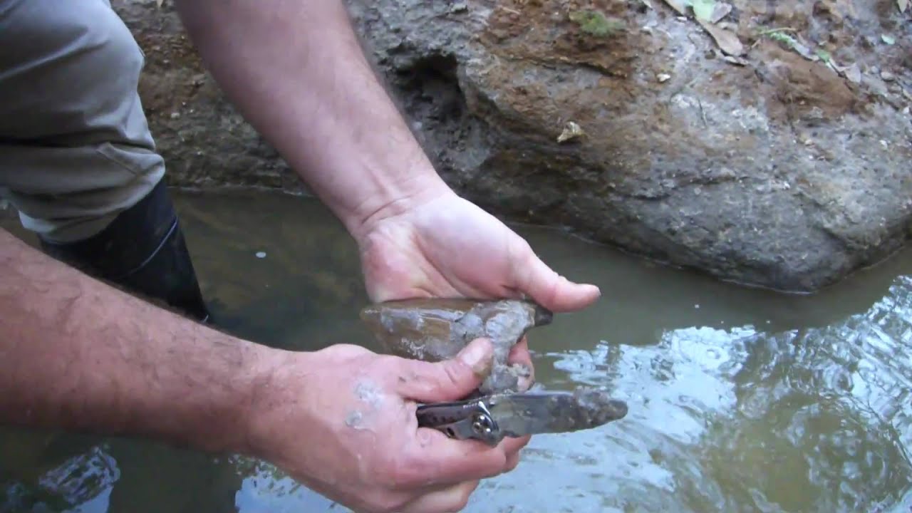 The Thrill of Victory and the Agony of Defeat