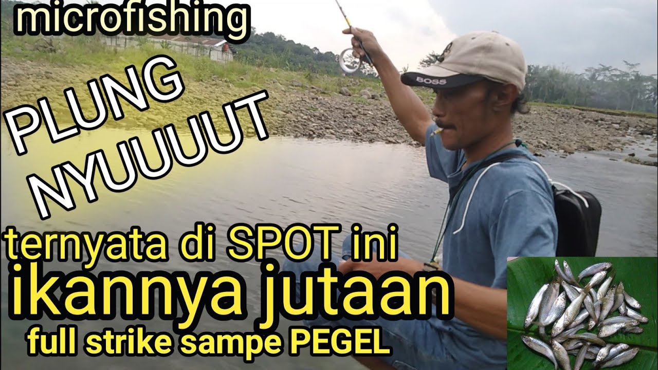 mancing ikan uceng full strike ikan wader lunjar || video fishing || fishing mania || umpan jitu ||