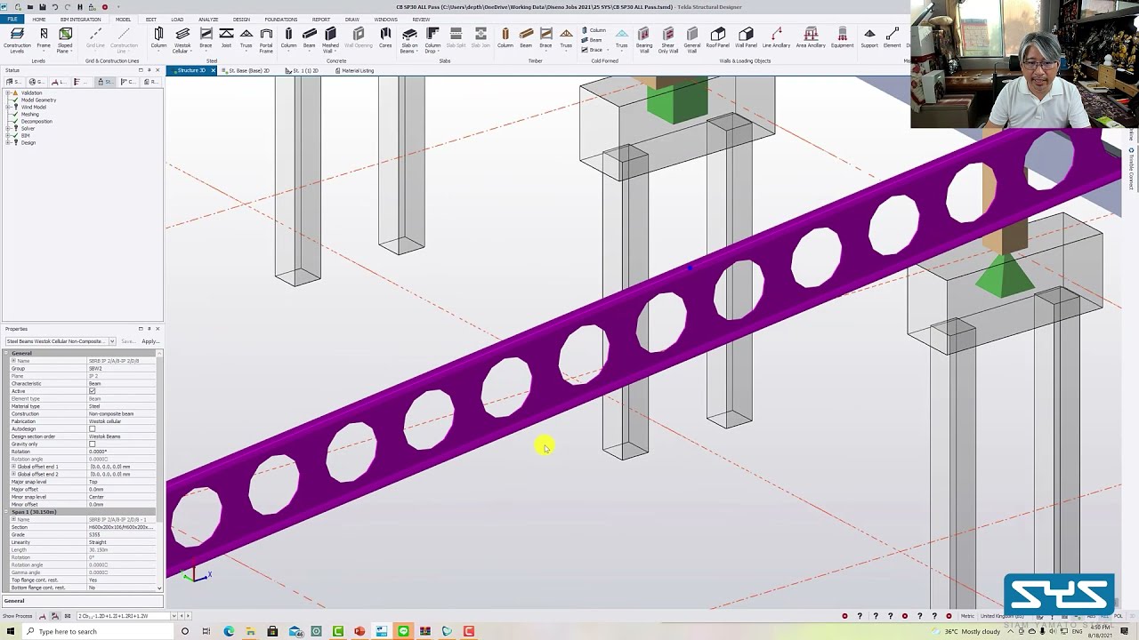 Cellular Beam Design Workshop
