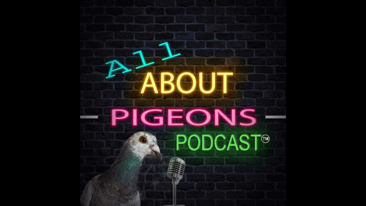 130. The Damascene Pigeon: History, Color, and Standards with Cadin Jaessing