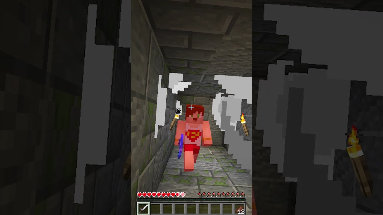 minecraft TNT vs BugraaK #Shorts