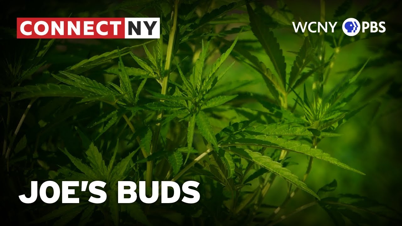 Joe's Buds Dispensary | Connect NY
