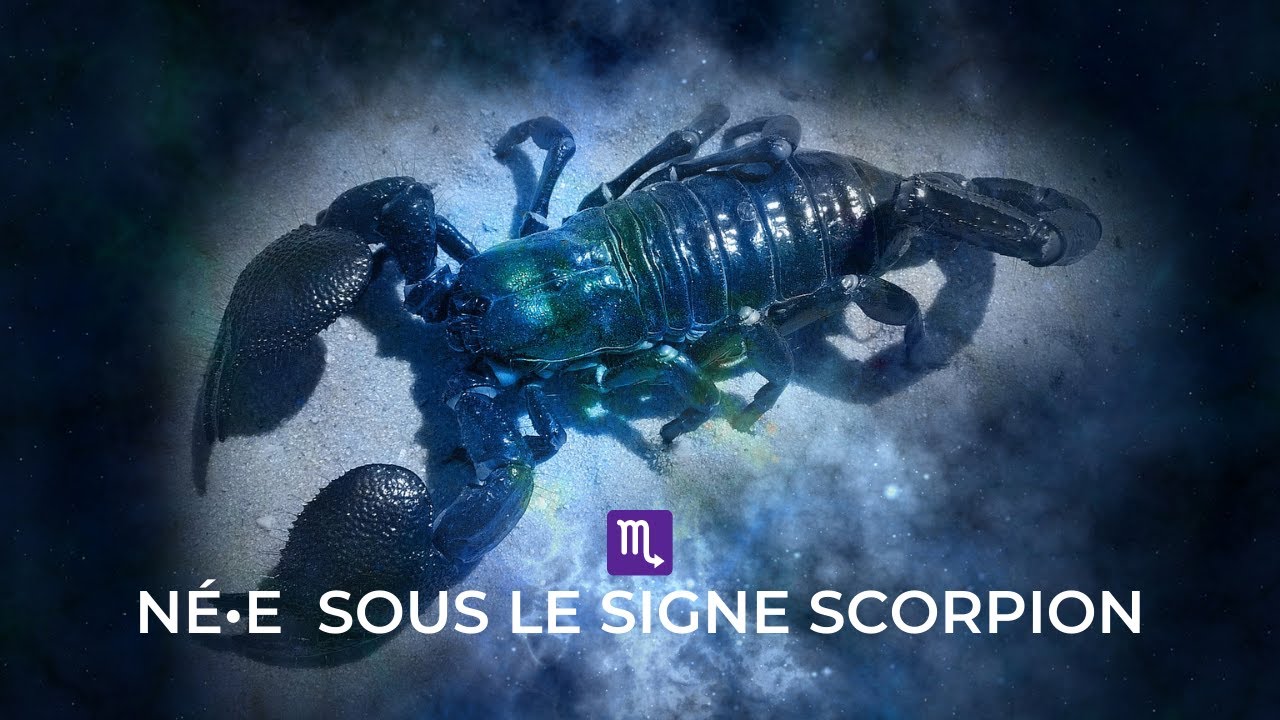♏ TOUT SAVOIR | N&eacute;.e sous le SIGNE DU ♏ SCORPION ♏