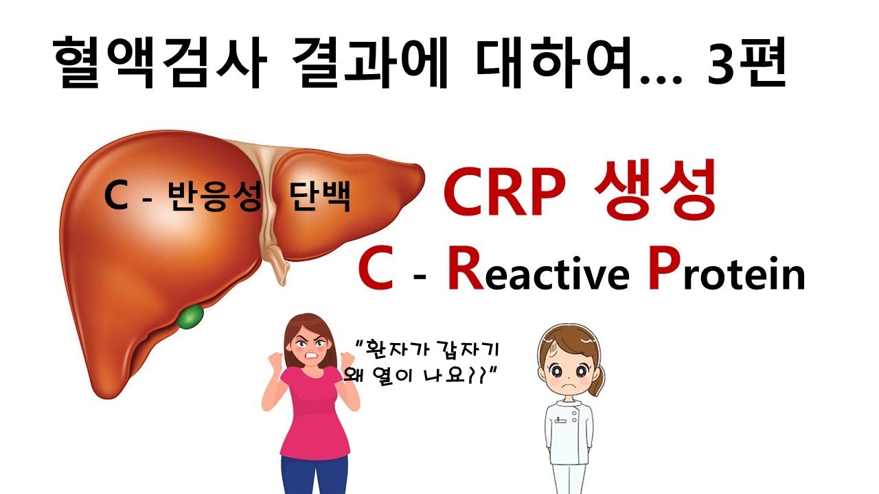 67. 혈액검사결과에 대하여  3편 - CRP (C - 반응성 단백)
