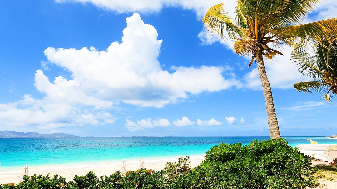 Daydreaming on a Beach in the Caribbean: Relaxing Waves in 4K