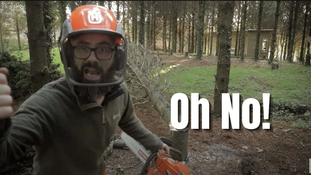 This Could Go Horribly Wrong - Husqvarna 365 Chainsaw