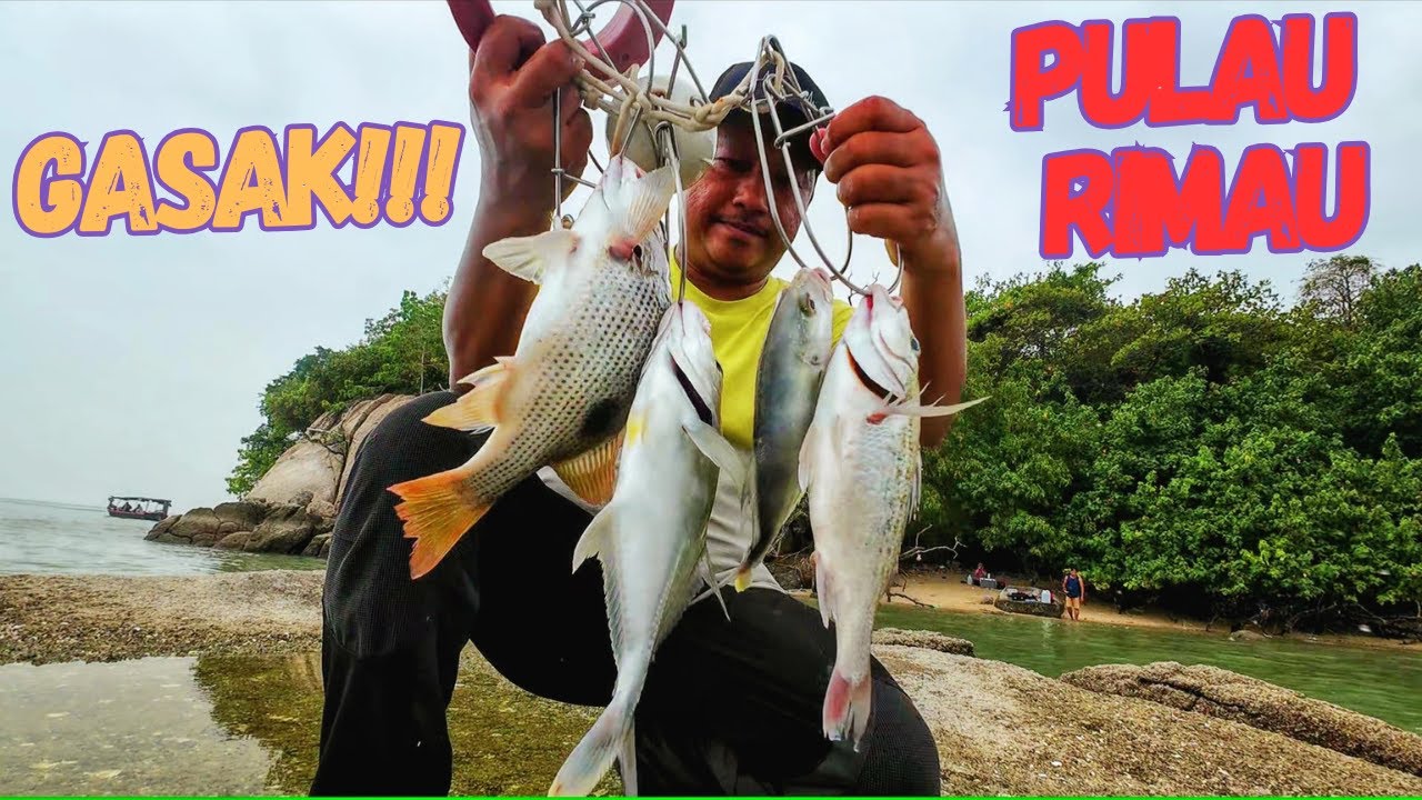 Gasak Menebing Selepas Hari Raya di Pulau Rimau | Penang Ultralight