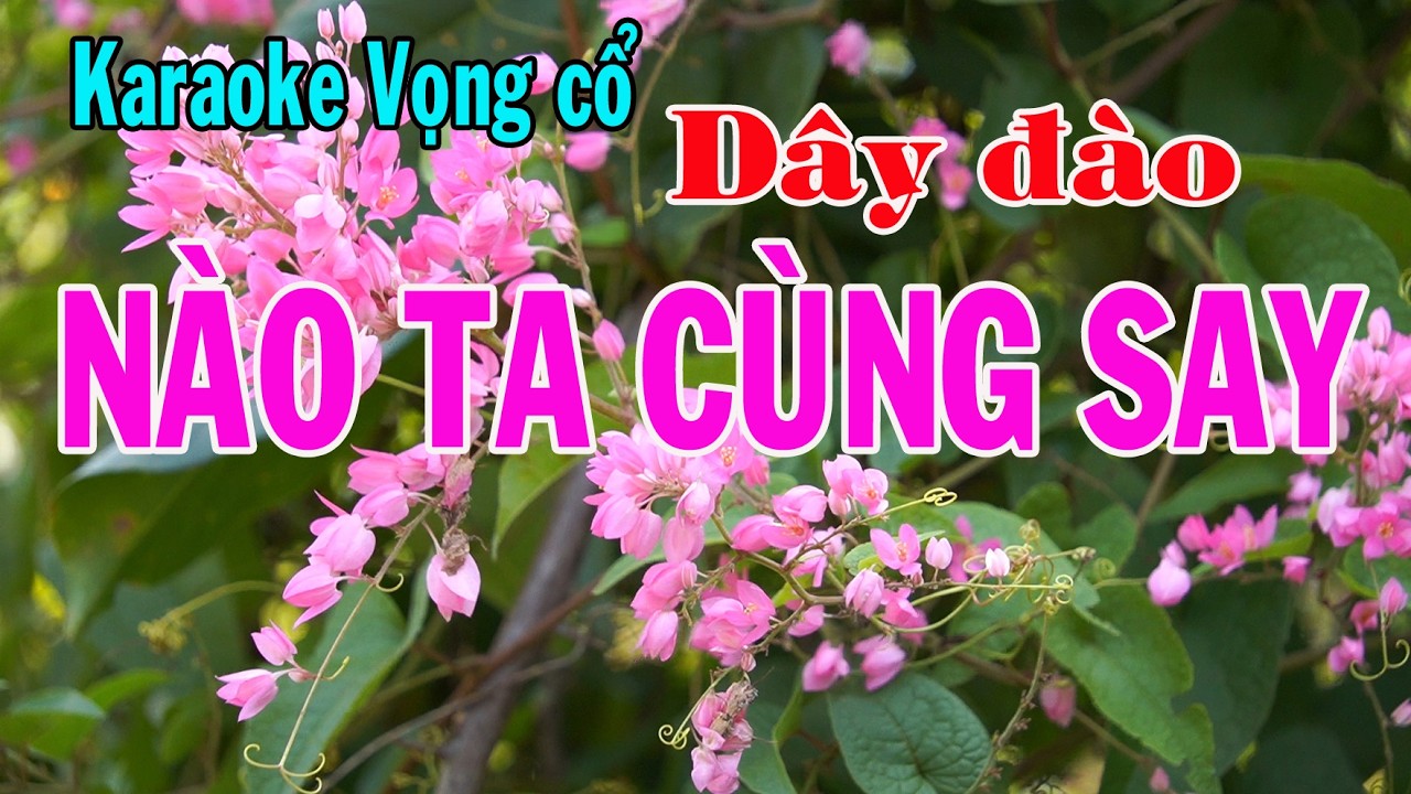 Karaoke vọng cổ NÀO TA CÙNG SAY - DÂY ĐÀO [Tác giả Diễm Trần]