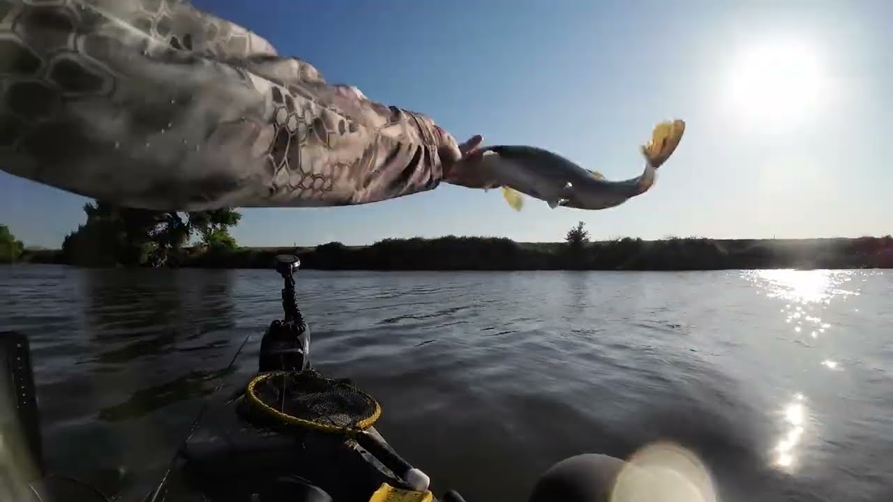 Whopper Plopper Clips CA Delta