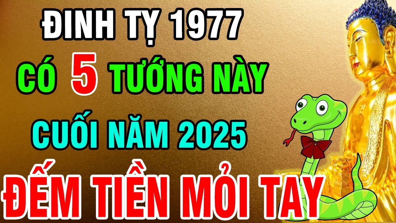 Đinh Tỵ 1977 Sở Hữu 5 Tướng Mạo Phú Quý giúp Đổi Vận, Giàu Sang cuối năm 2025