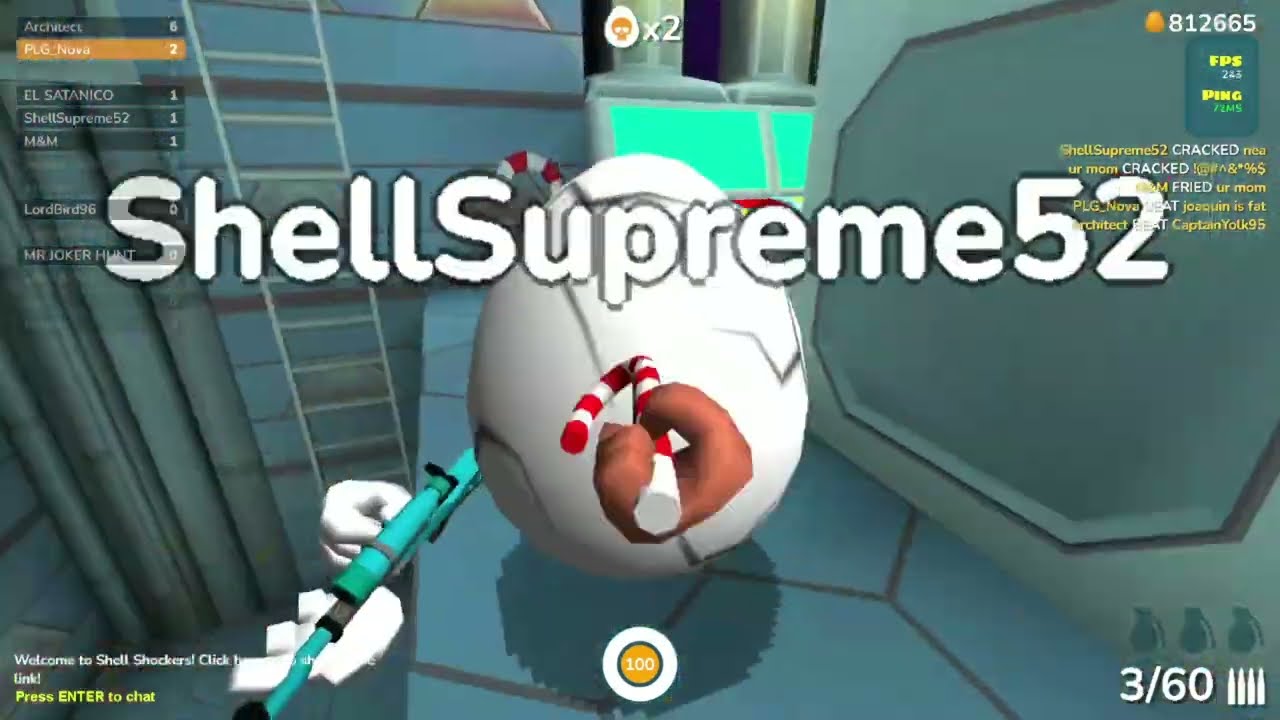 This Shell Shocker Video Ends when I get recognized