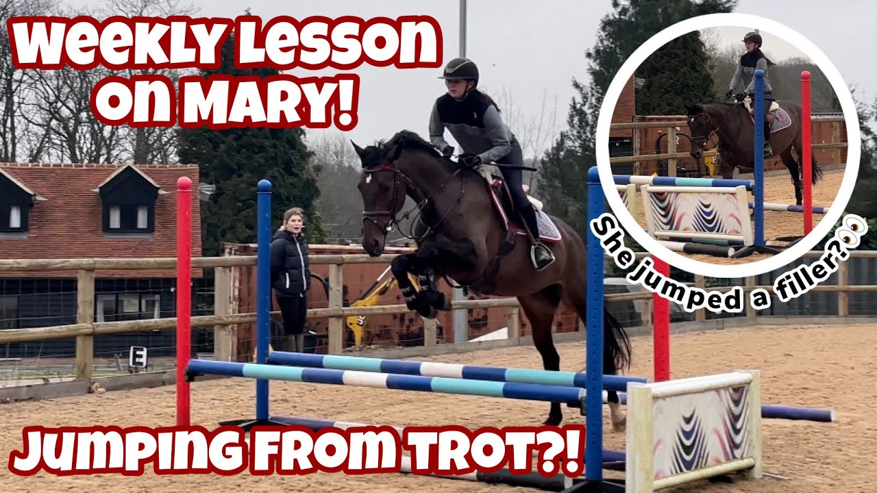 TEACHING MY YOUNG HORSE TO JUMP FROM TROT… - Lesson with Mary!