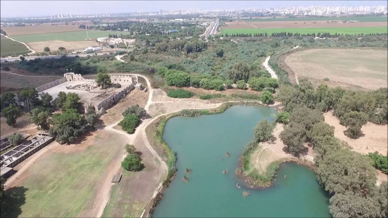 פארק אפק 01.07.16
