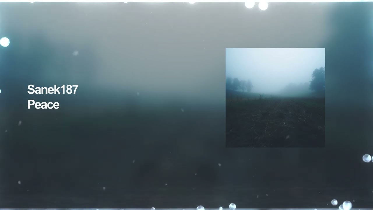 PHONK ◍ Sanek187 - Peace