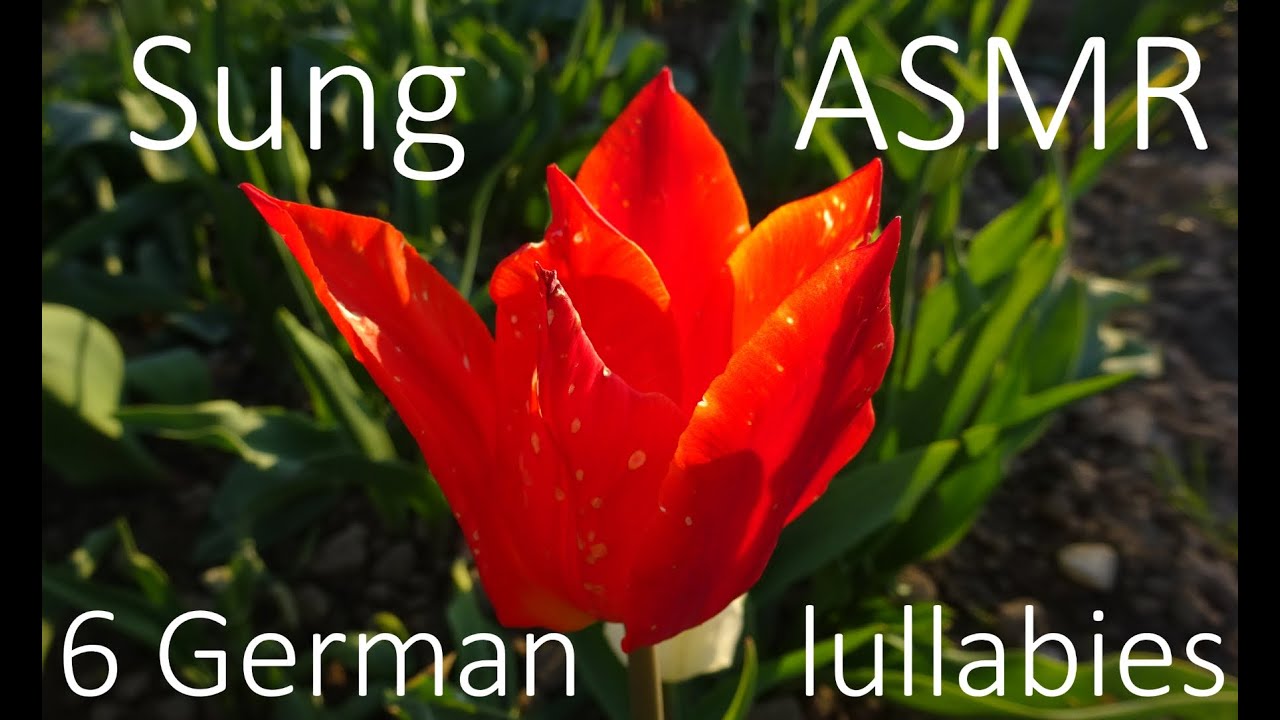 ASMR Ear2ear 6 German Lullabies ~ Deutsche Schlaflieder