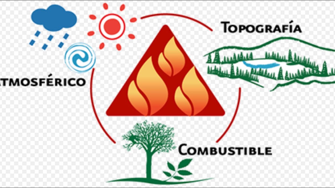 Tri&aacute;ngulo del comportamiento del fuego.