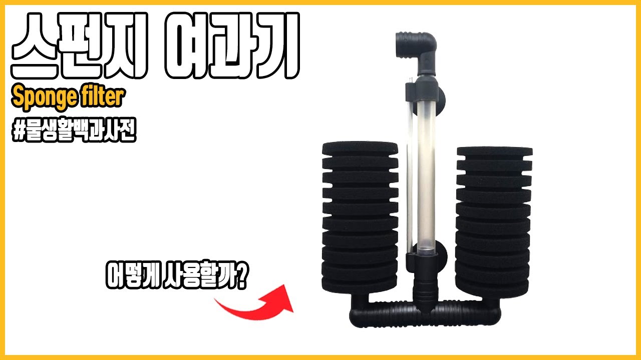 스펀지 여과기, 사용 방법과 장단점을 알아보자! [#물생활백과사전 ]