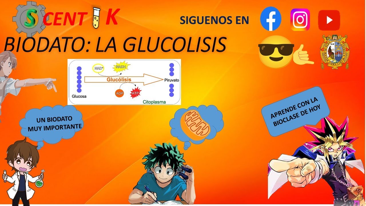 𝑩𝑰𝑶𝑫𝑨𝑻𝑶: LA GLUCOLISIS CON TU 𝑩𝑰𝑶𝑷𝑹𝑶𝑭𝑬 𝑭𝑹𝑰𝑻𝒁 𝑬𝑼𝑹𝑰𝑩𝑬 💪😁