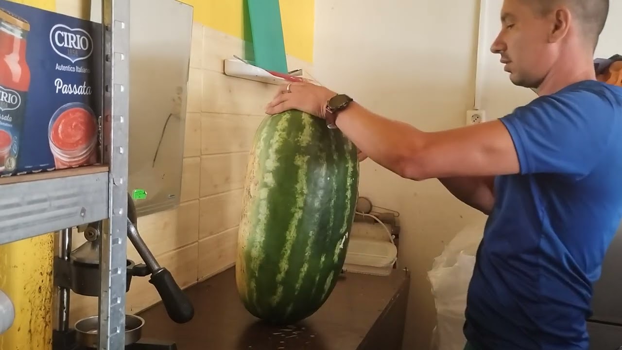 Как се реже цяла Диня?