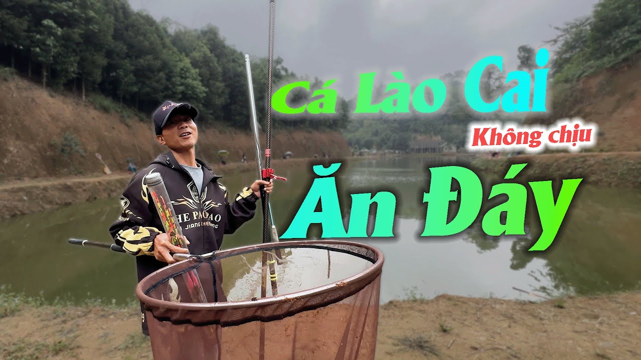 125. Hành Trình Tây Bắc : Trải nghiệm câu cá tại hồ câu Phi Hổ, TP.Lào Cai !