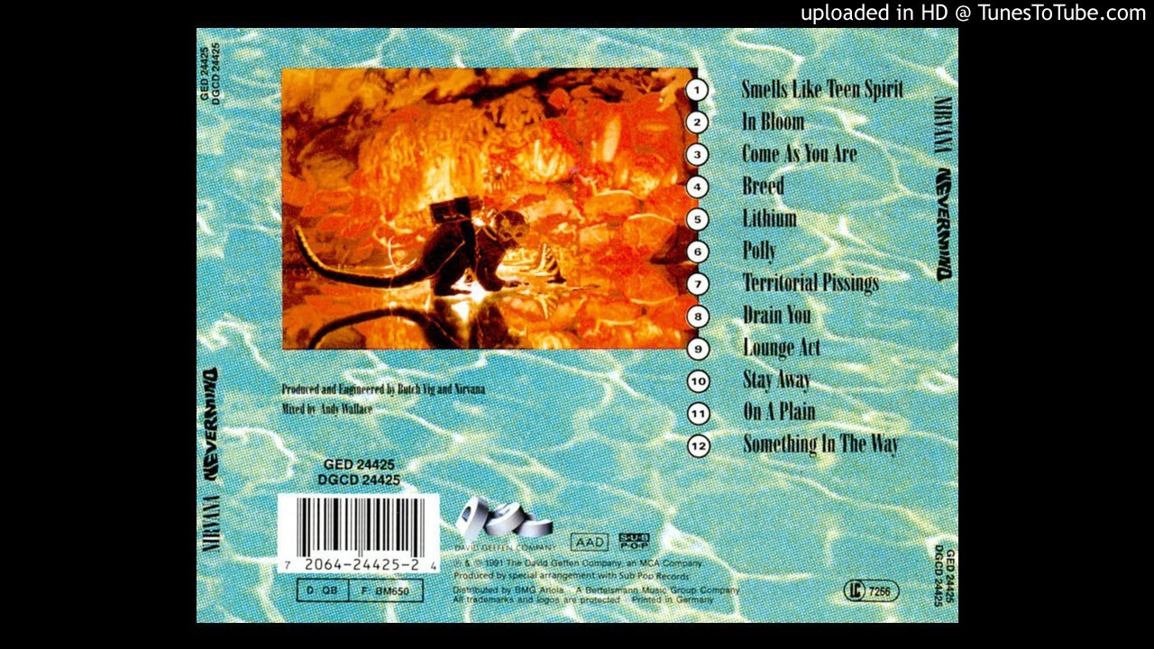 Nirvana - Something in the Way (with Endless Nameless hidden track)