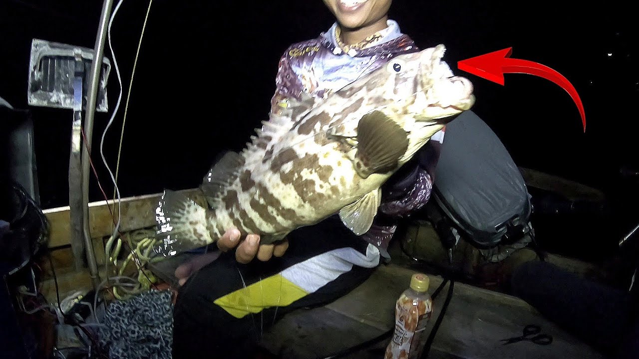 Rejeki Nomplok!!! Mancing Di Rumpon Dapat Kerapu JUMBO|| part 2