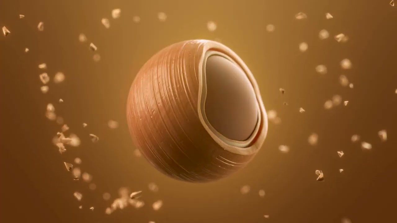BEYOND ANIMATION REEL2022