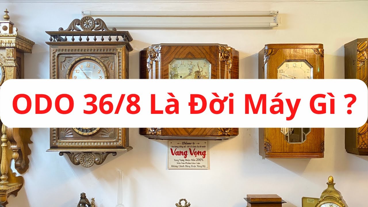 TẠI SAO LẠI GỌI LÀ ODO 36/8 ĐẶC ĐIỂM GÌ ĐỂ NHẬN BIẾT ?/ 0912011947