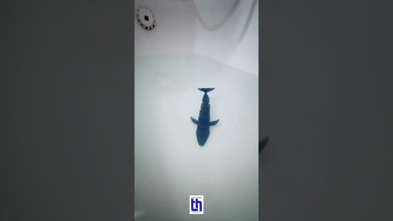 RC Shark T2M 😎🐬😍 