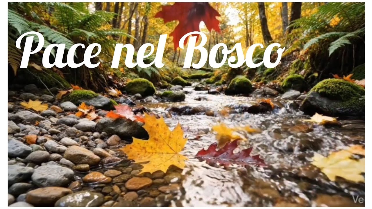 Pace nel Bosco... #rilassati 