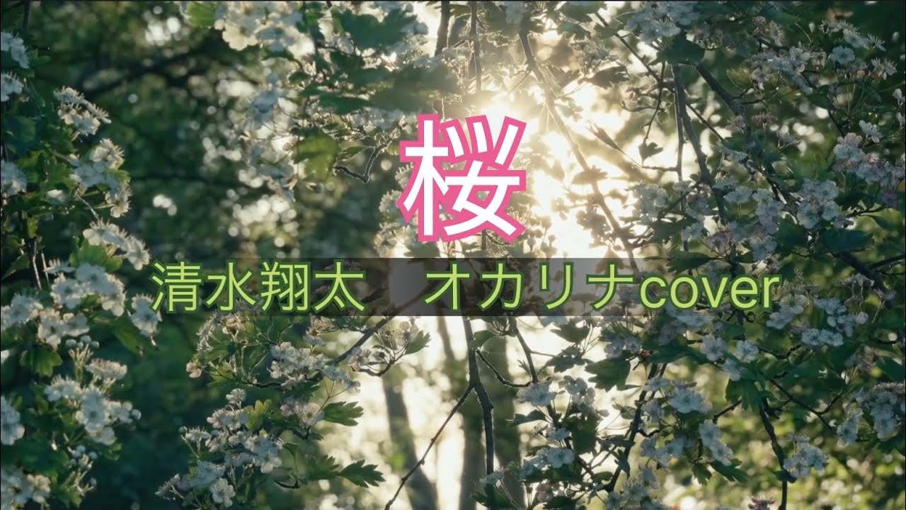 桜/清水翔太　オカリナcover