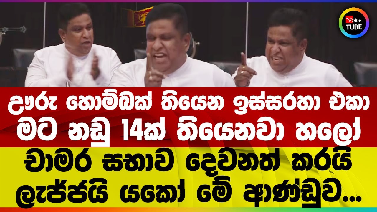 ඌරු හොම්බක් තියෙන ඉස්සරහා එකා | මට නඩු 14ක් තියෙනවා හලෝ | චාමර සභාව දෙවනත් කරයි ලැජ්ජයි යකෝ
