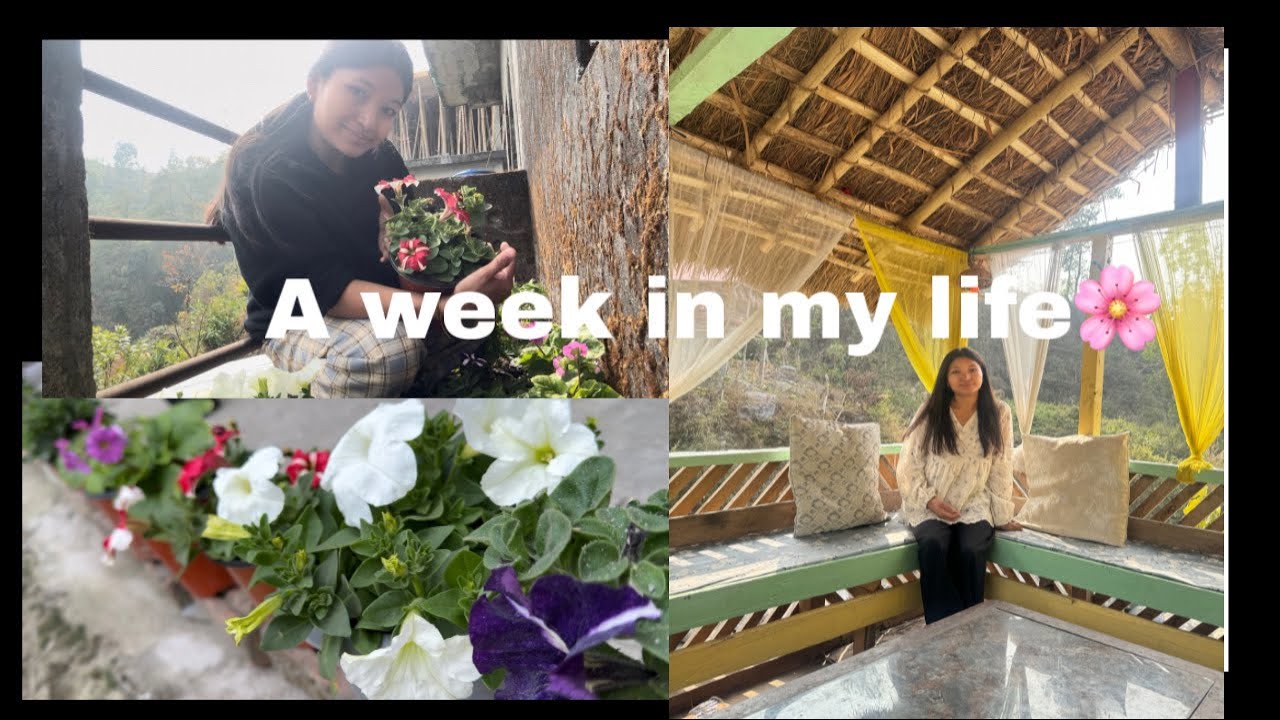A Week In My Life Vlog🌸
