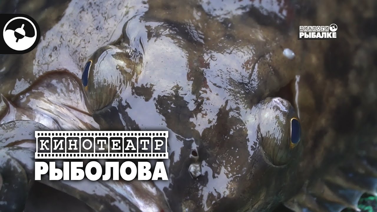 Рыбалка на Курилах. Лосось и палтус | Кинотеатр рыболова