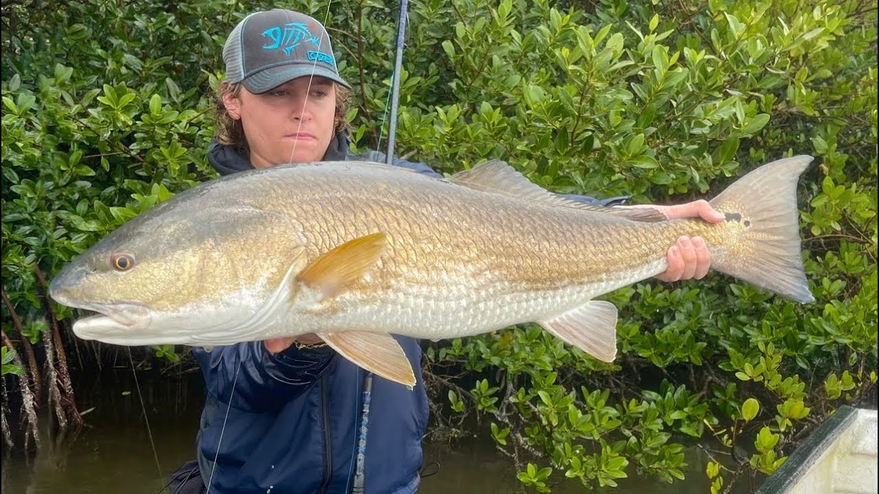 SECRET CREEK Fishing for BULL Redfish