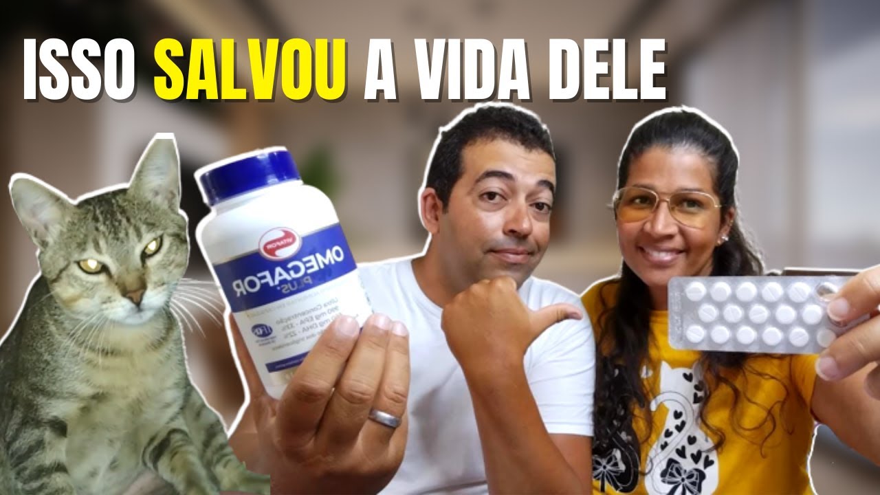 COMO MEU GATO  FICOU BOM DA CISTITE ( Infecção Urinária Felina)