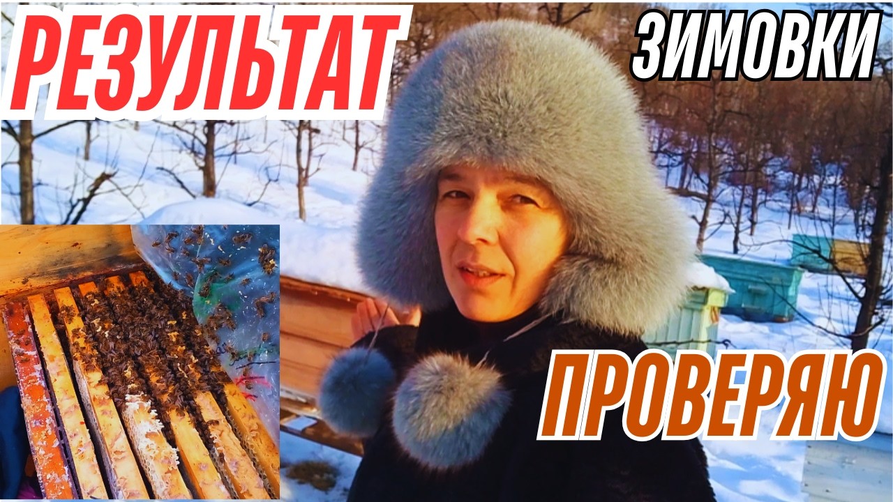ОТ ЧЕГО ЗАВИСИТ ЗИМОВКА ПЧЕЛ?/ Вот результат моего опыта!