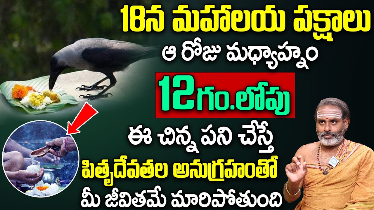 Mahalaya Pakshalu 2024 | Pitru Dosha Pariharam | Pitrudosha Nivarana Pooja | Tirupati Murthy Avadani