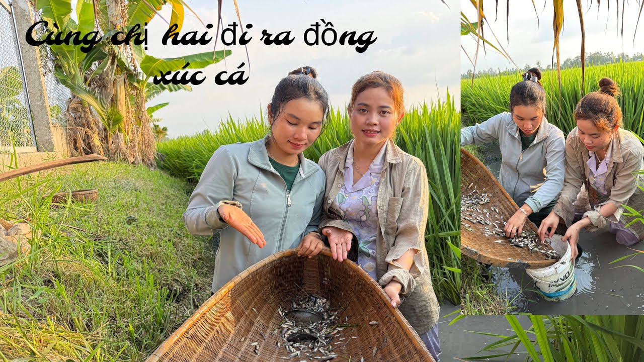 CÙNG HAI CHỊ EM BÍCH HƯƠNG & LAN ANH Đi XÚC CÁ Rô THẤY MÊ LUÔN CẢ NHÀ Ơi #lananh #cuocsongoque 