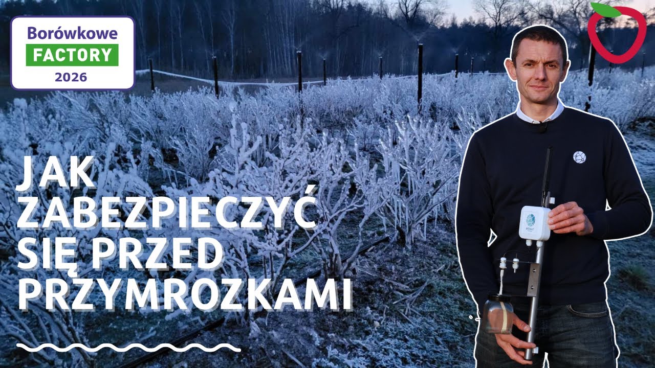 Pierwszy krok by zabezpieczyć plantację przed przymrozkami