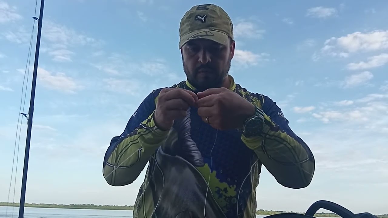 Apareció la boga en la costanera..