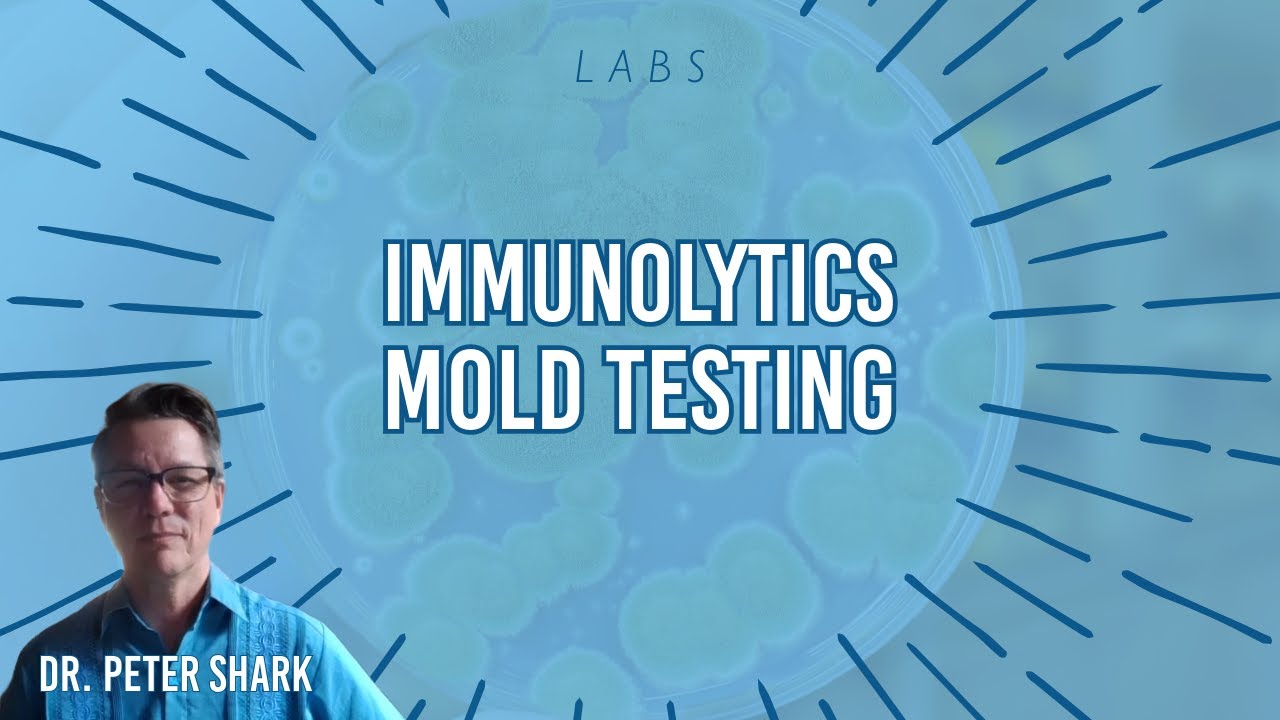 Labs: Immunolytics Mold Testing