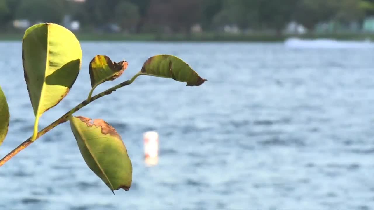 Girl, 11, dies while boating on Lake Osborne