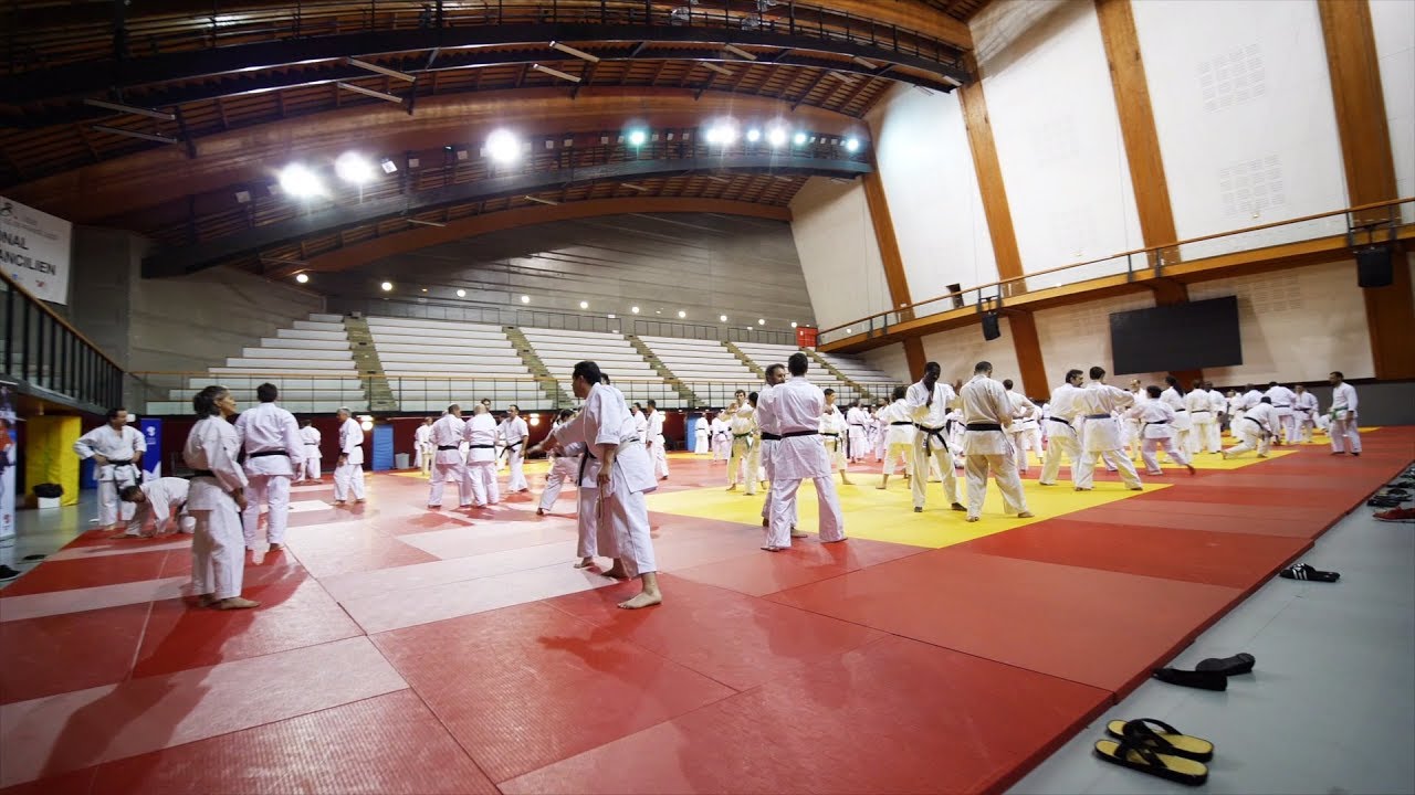 [Clip]  Immersion lors du stage des Experts Japonais