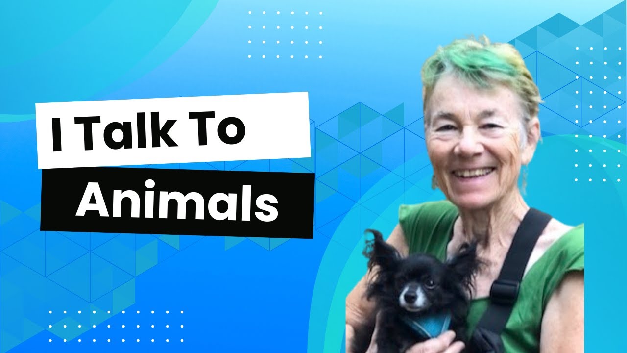 Animal Languages Exist. Here's How They Work | Modern Animism