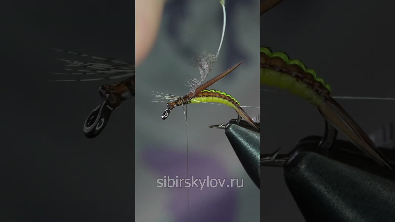 Личинка Веснянки. Stonefly Nymph Сибирский Лов #мушки #flytying #flyfishing