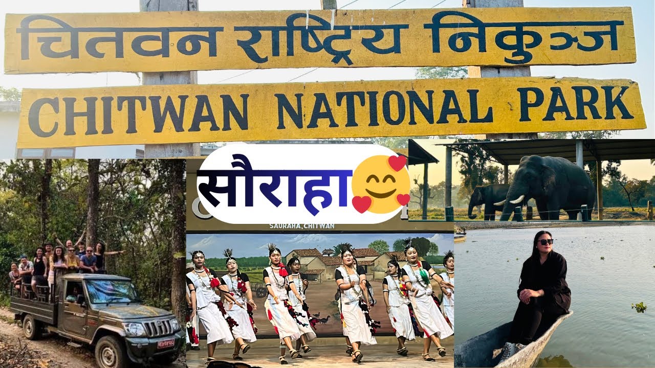 CHITWAN SAURAHA 